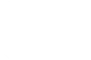Logo_FinnComfort_cropped_white